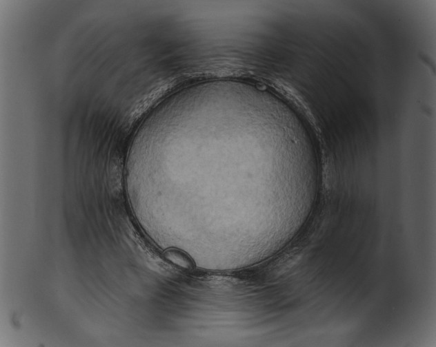 X0000101210393200807181423