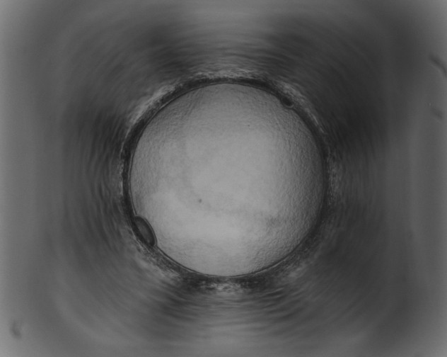 X0000101210395200807181423