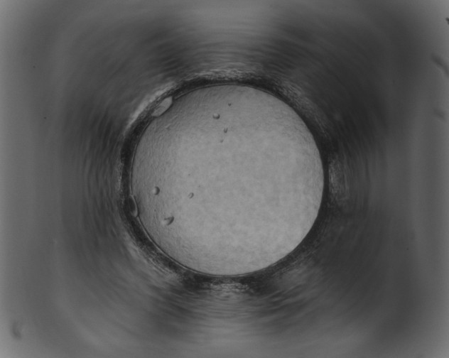 X0000101210396200807181423