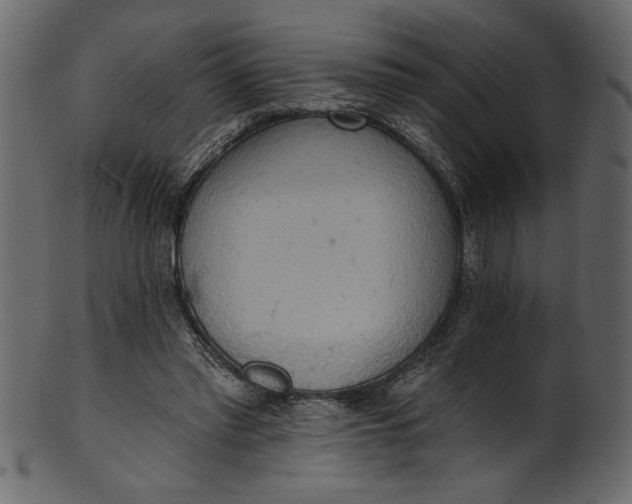 X0000101210397200807181423