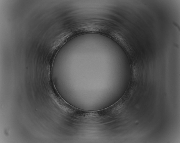 X0000101210398200807181423