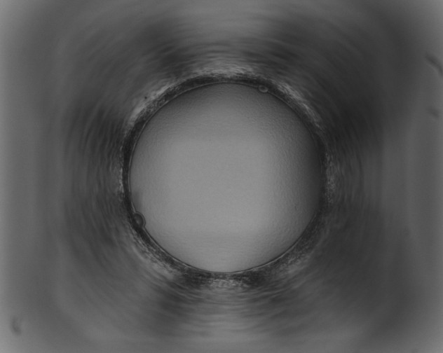 X0000101210399200807181423