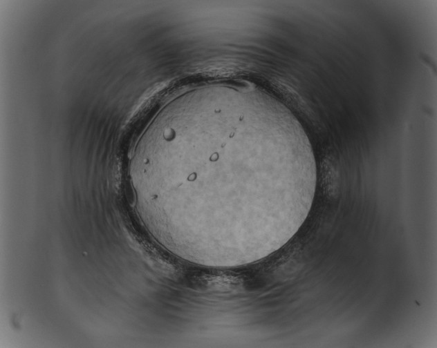 X0000101210400200807181423