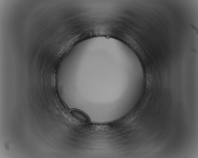 X0000101210401200807181423