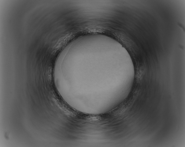 X0000101210402200807181423