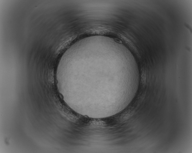 X0000101210403200807181423