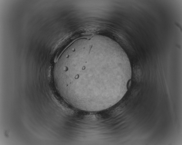 X0000101210404200807181423