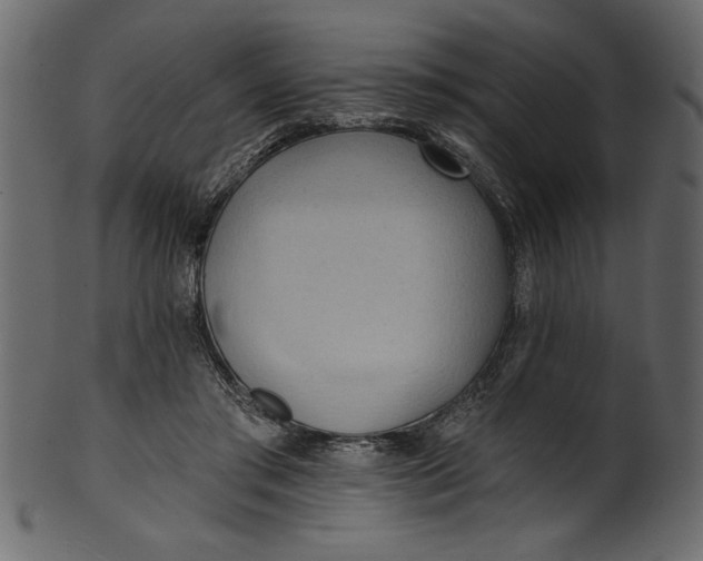 X0000101210405200807181423