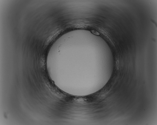 X0000101210407200807181423