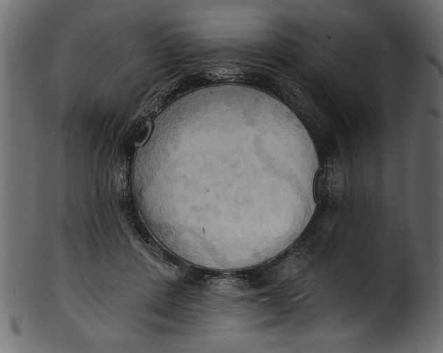 X0000101210408200807181423