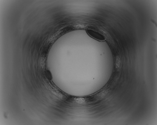 X0000101210409200807181423