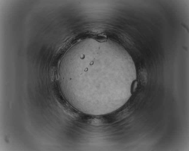 X0000101210412200807181423