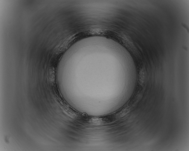 X0000101210413200807181423