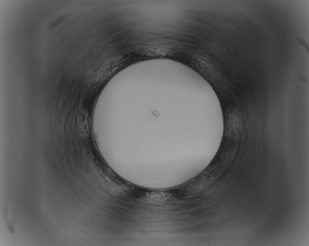 X0000101210414200807181423