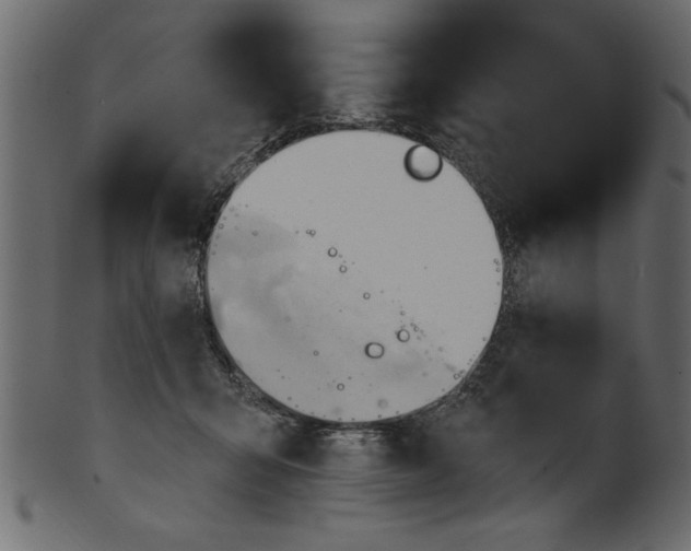 X0000101210415200807181422