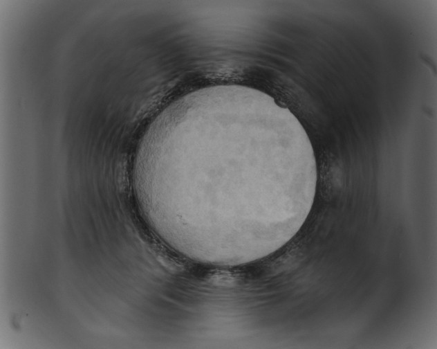 X0000101210416200807181422