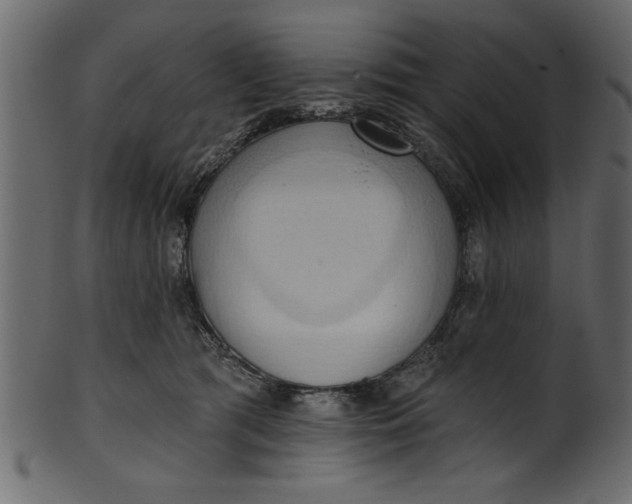 X0000101210417200807181422