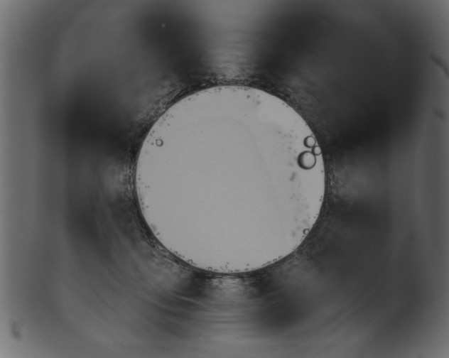 X0000101210419200807181422