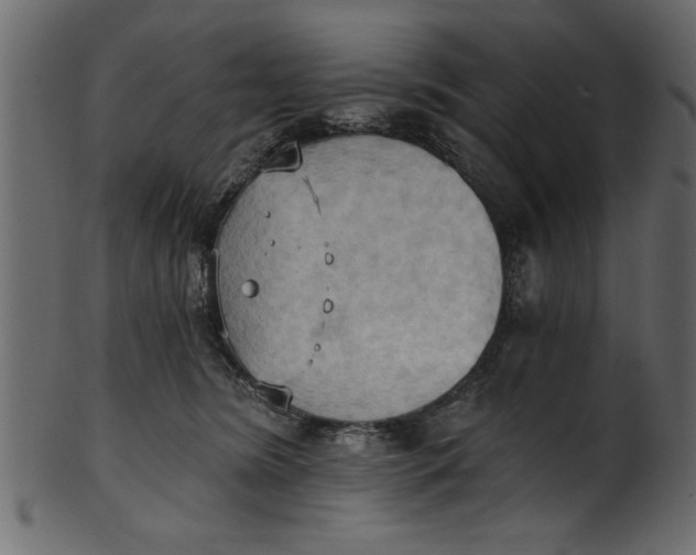 X0000101210420200807181422