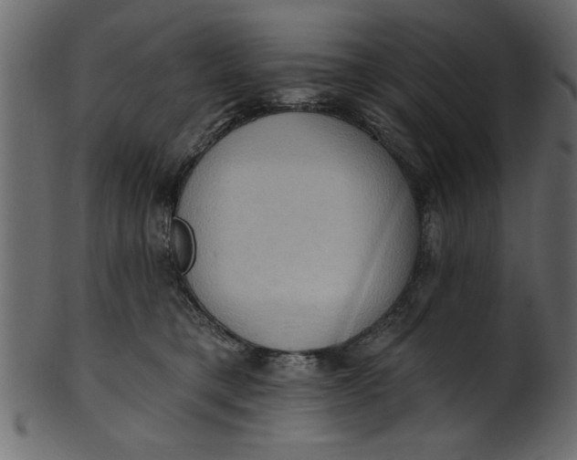 X0000101210421200807181422