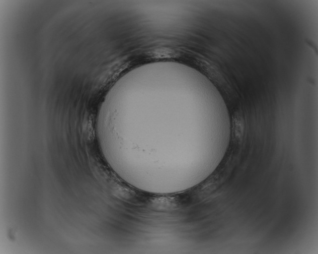 X0000101210422200807181422