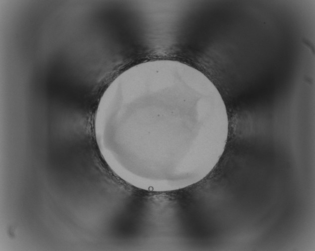 X0000101210423200807181422