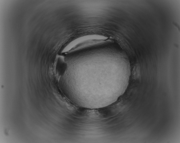 X0000101210424200807181422