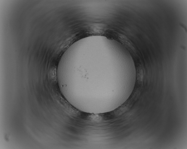 X0000101210425200807181422