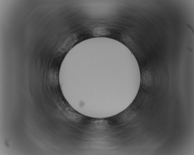 X0000101210426200807181422