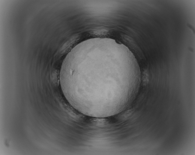 X0000101210428200807181422