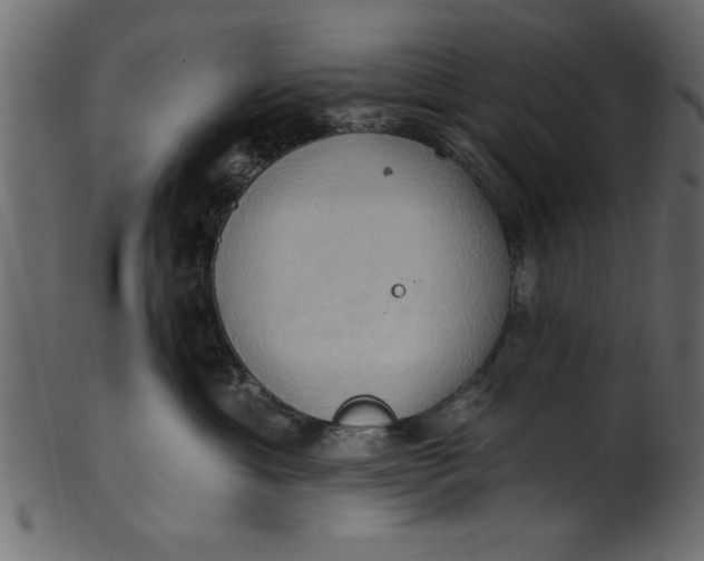 X0000101210429200807181422