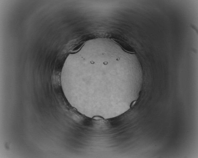 X0000101210432200807181422