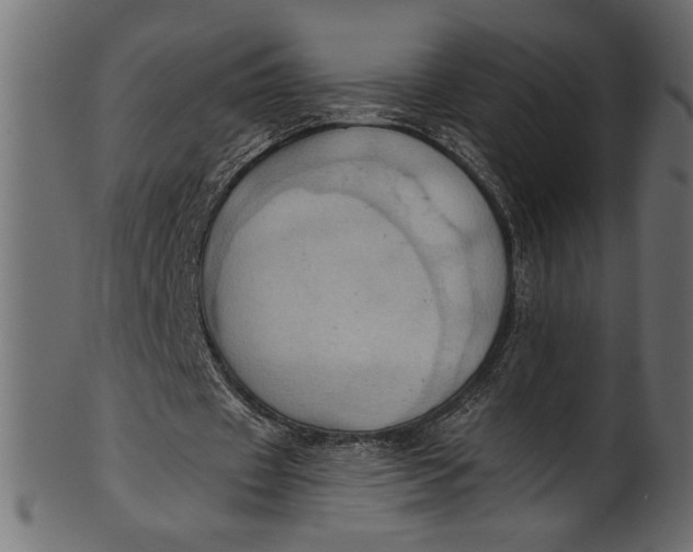 X0000101210433200807181421