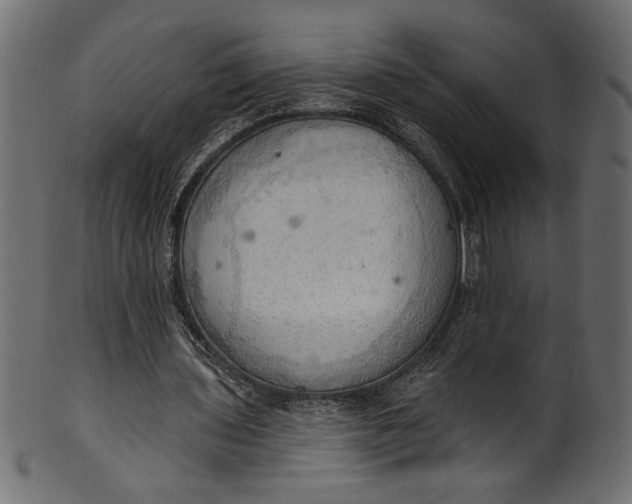 X0000101210435200807181421