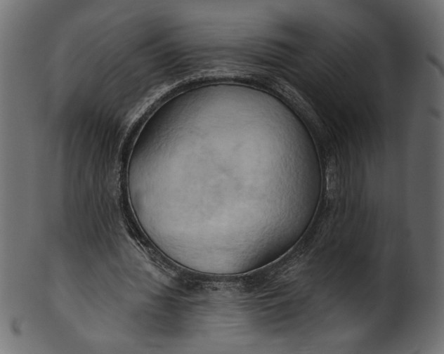 X0000101210436200807181421