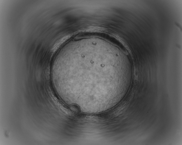 X0000101210437200807181421