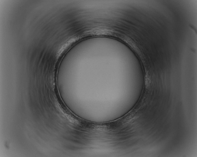 X0000101210438200807181421