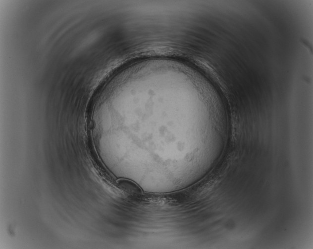 X0000101210439200807181421