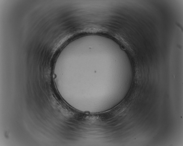 X0000101210440200807181421