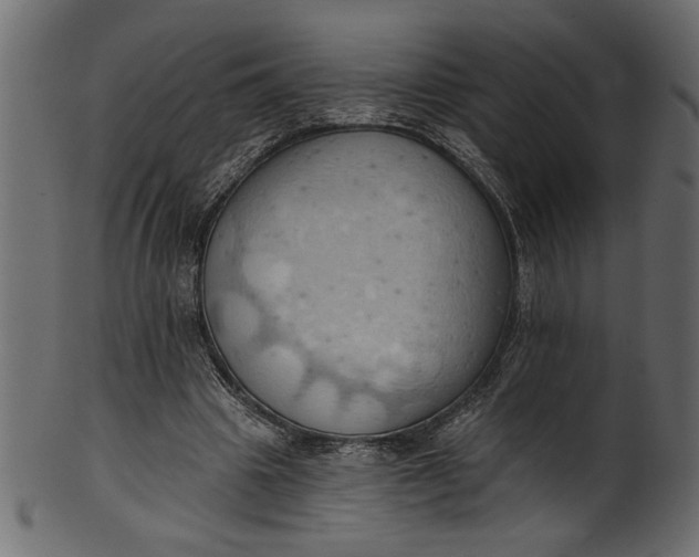 X0000101210441200807181422