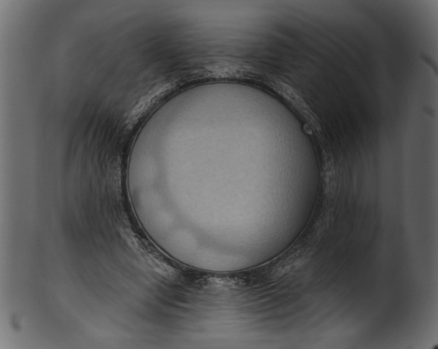 X0000101210442200807181422