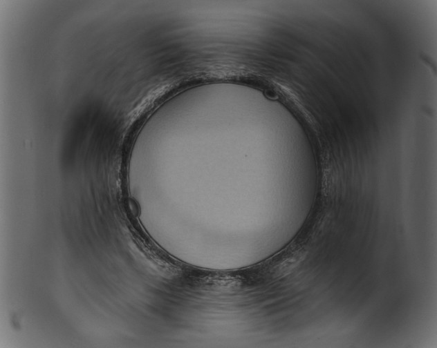 X0000101210443200807181422