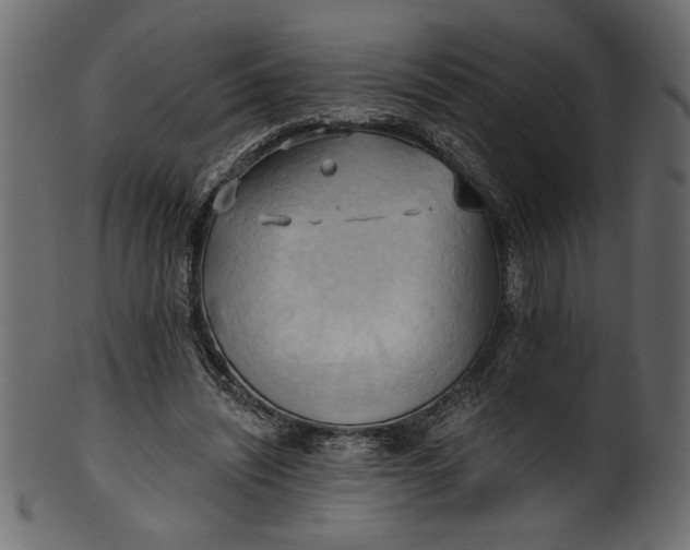 X0000101210444200807181422