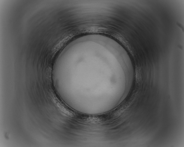 X0000101210445200807181422