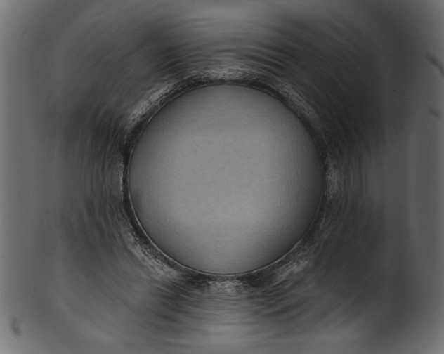 X0000101210446200807181422