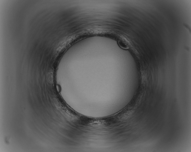 X0000101210447200807181422