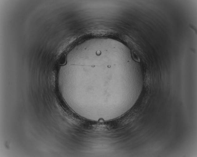 X0000101210448200807181422