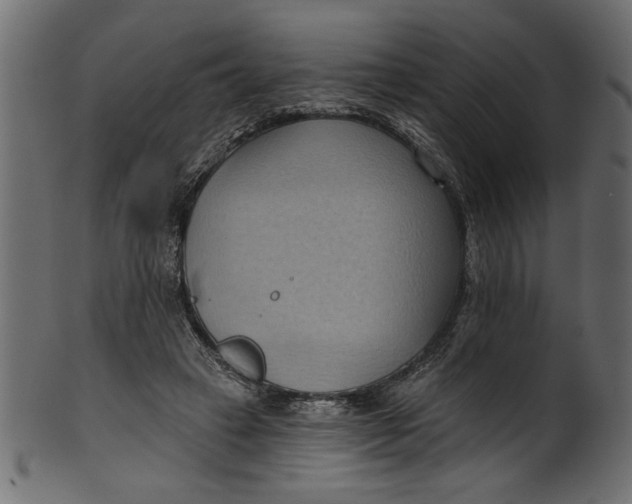 X0000101210449200807181422