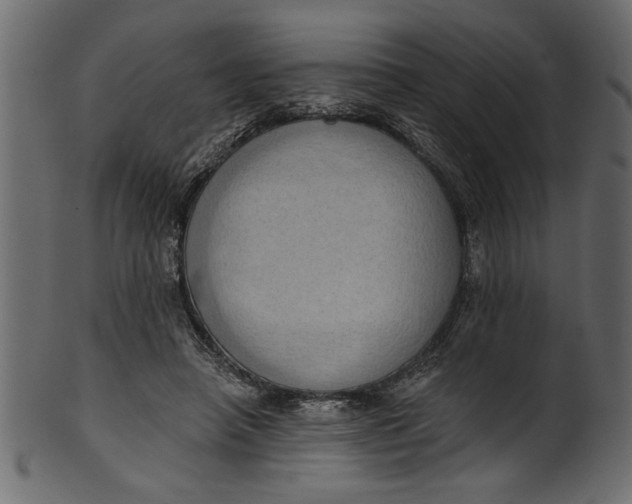 X0000101210450200807181422