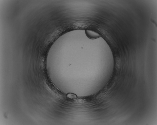 X0000101210451200807181422